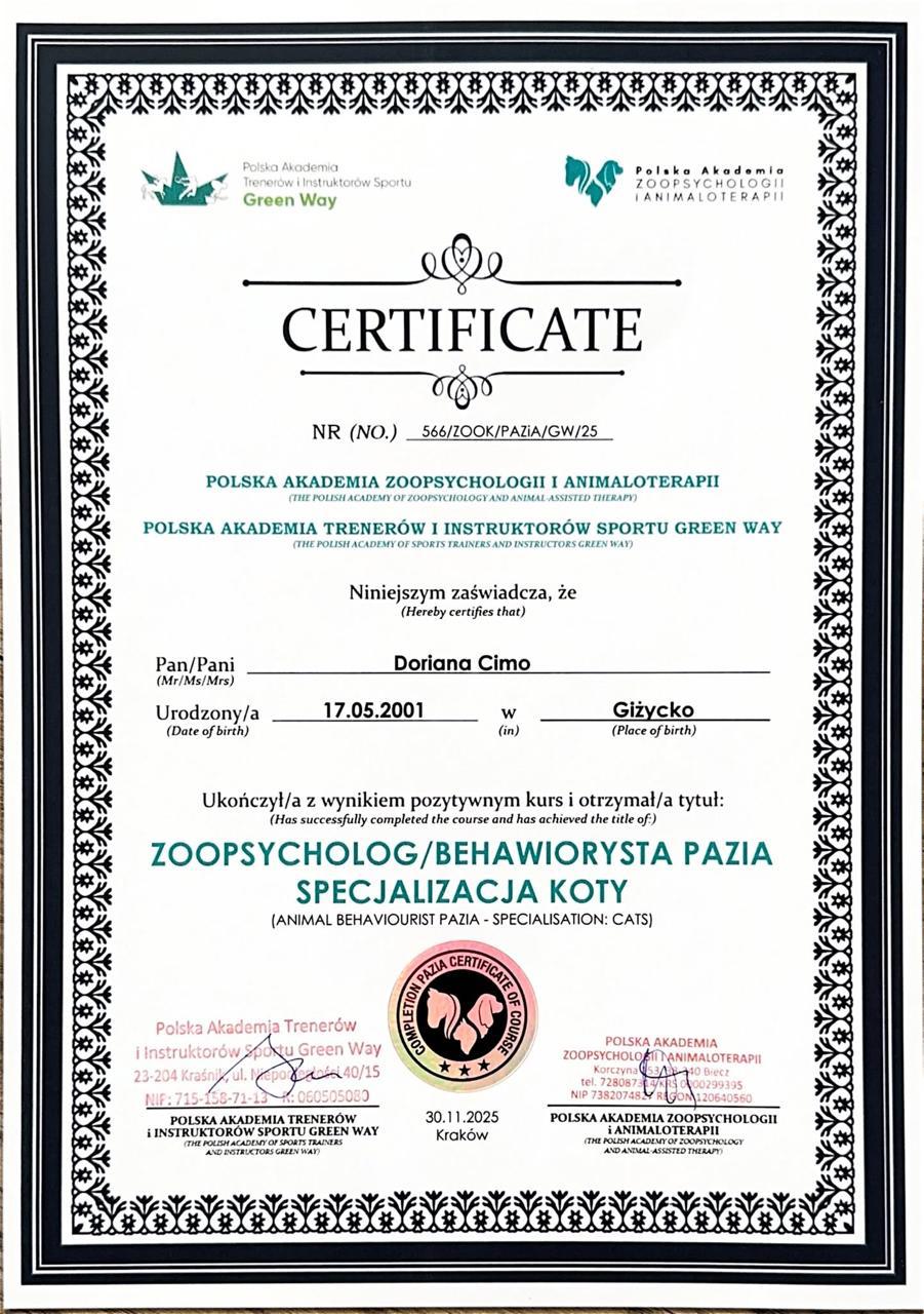 Certyfikat zoopsychologa i behawiorystki kotów PAZiA — Doriana Cimo