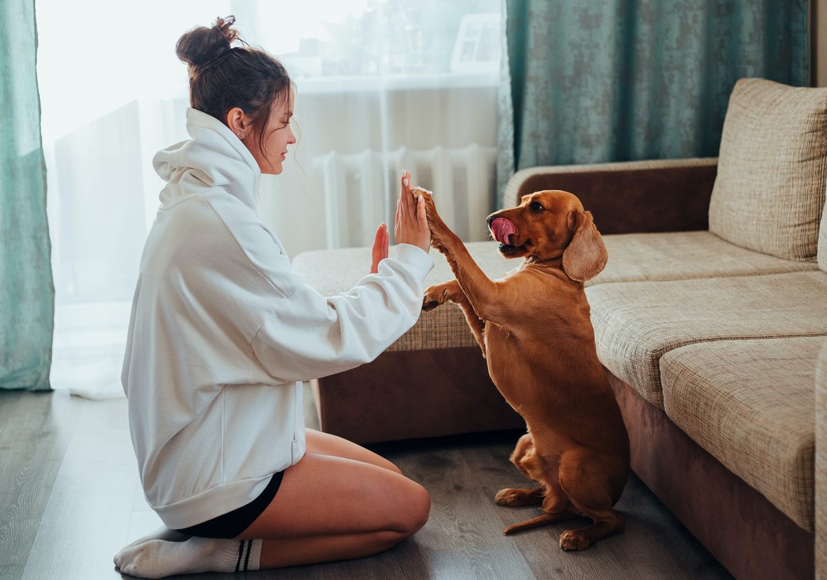 Woman teaching a dog commands at home