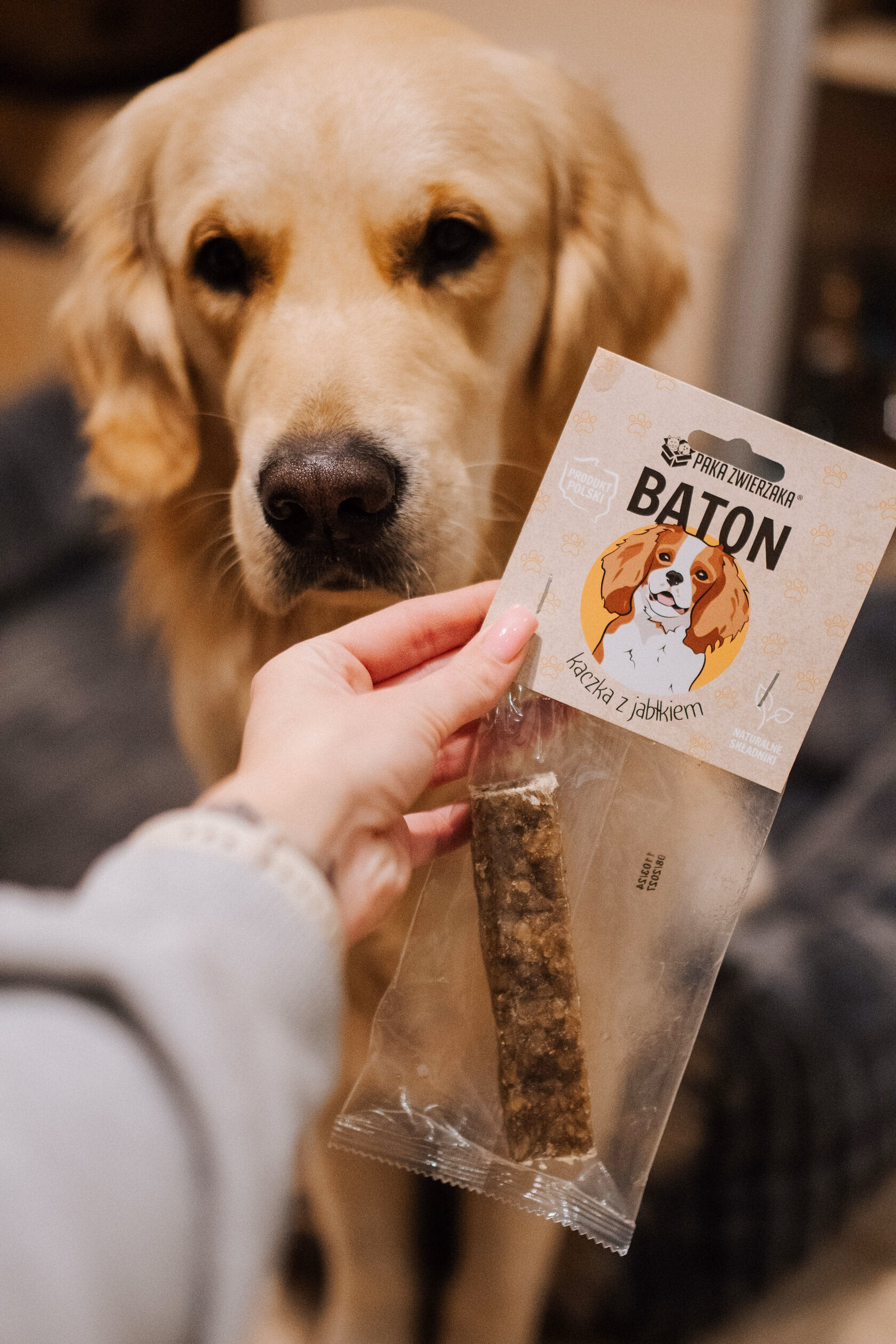 Natural dog chew