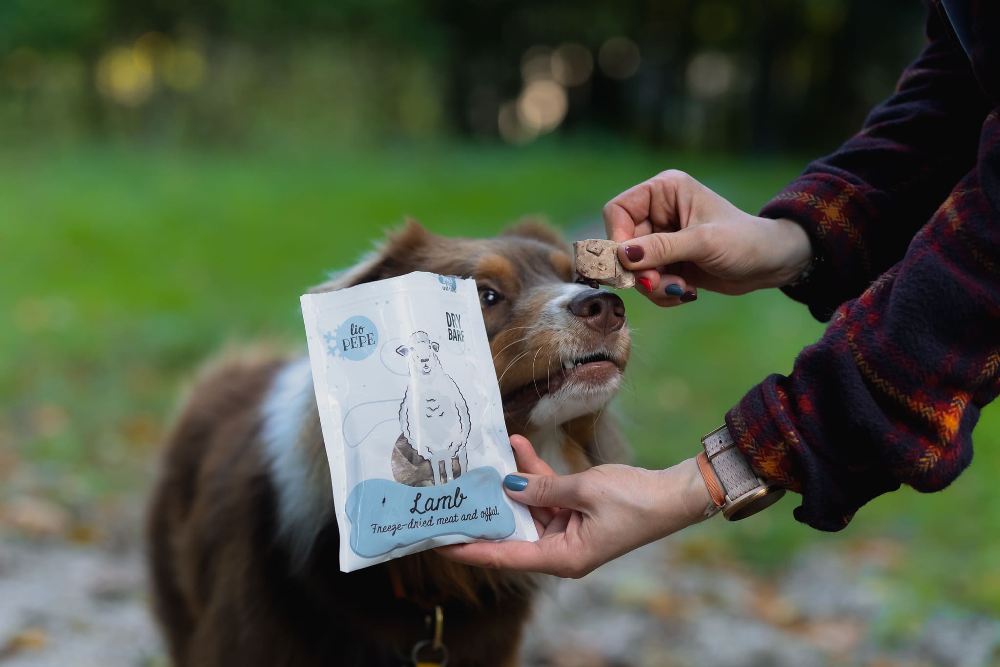 Natural dog treats prepared for a stay with a petsitter