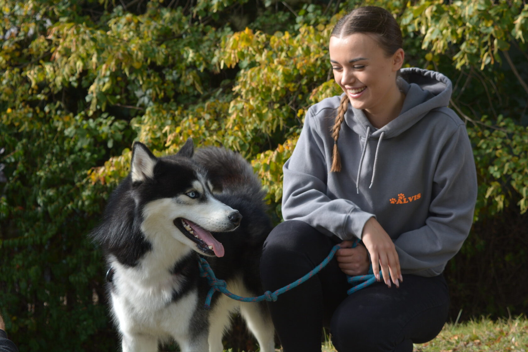Alvis pet sitter in Gdańsk
