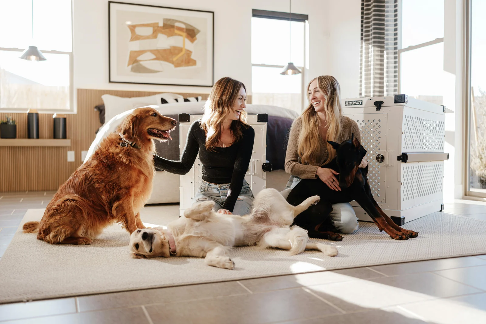 Become a pet sitter with an Alvis sitter