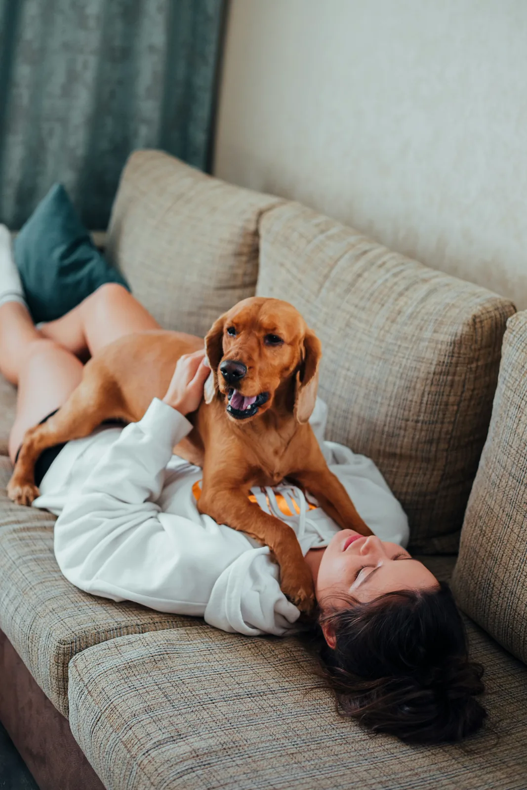 In-home pet care with an Alvis sitter