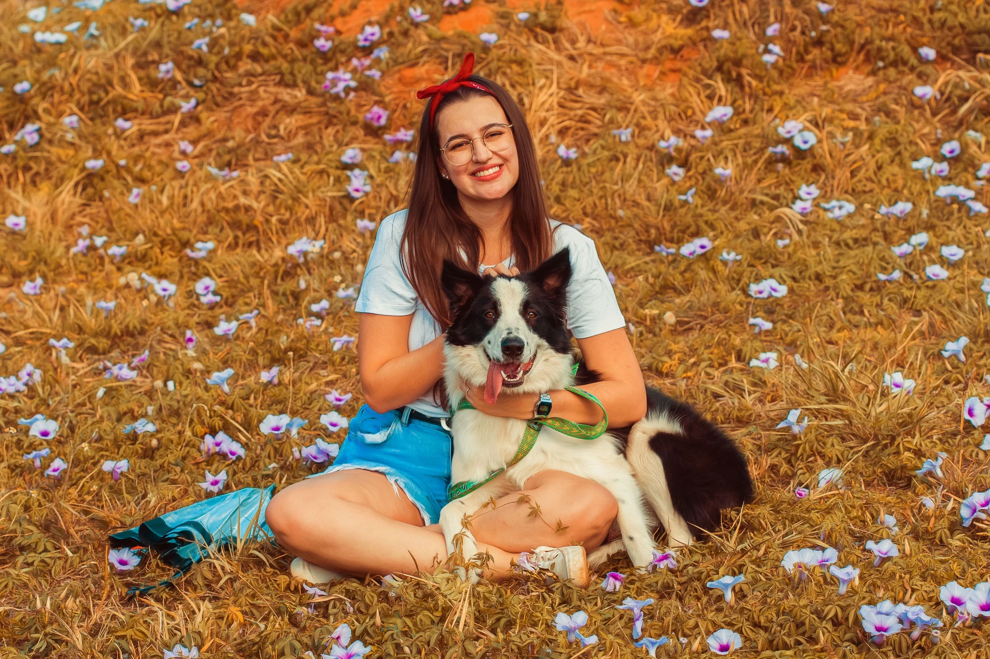 Become a pet sitter with an Alvis sitter