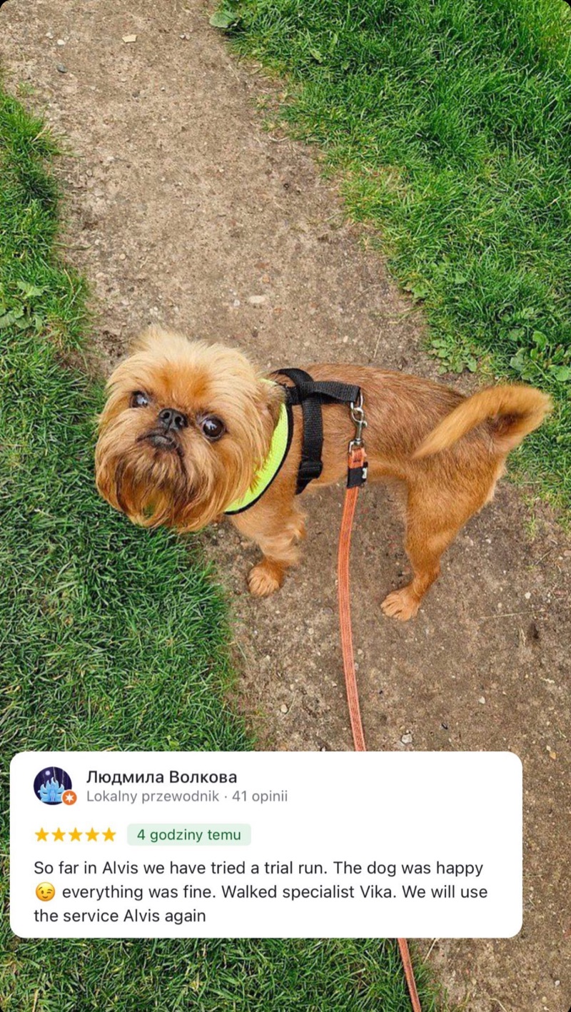 Отзыв клиента Alvis об уходе за маленькой собакой