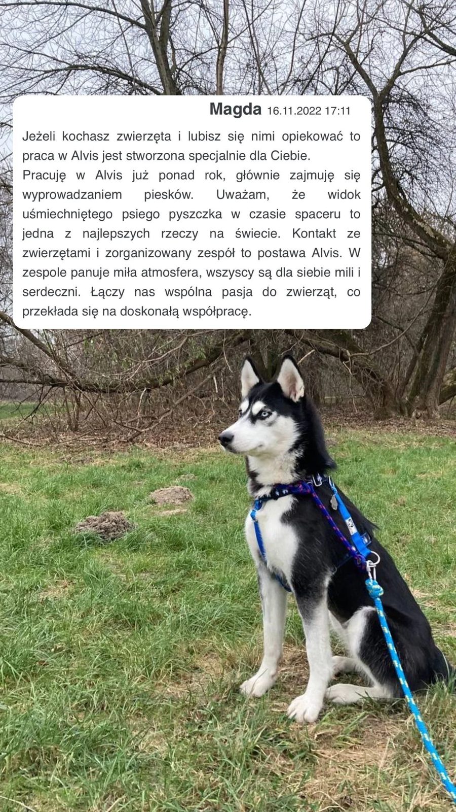 Опікунка Alvis грається із собакою