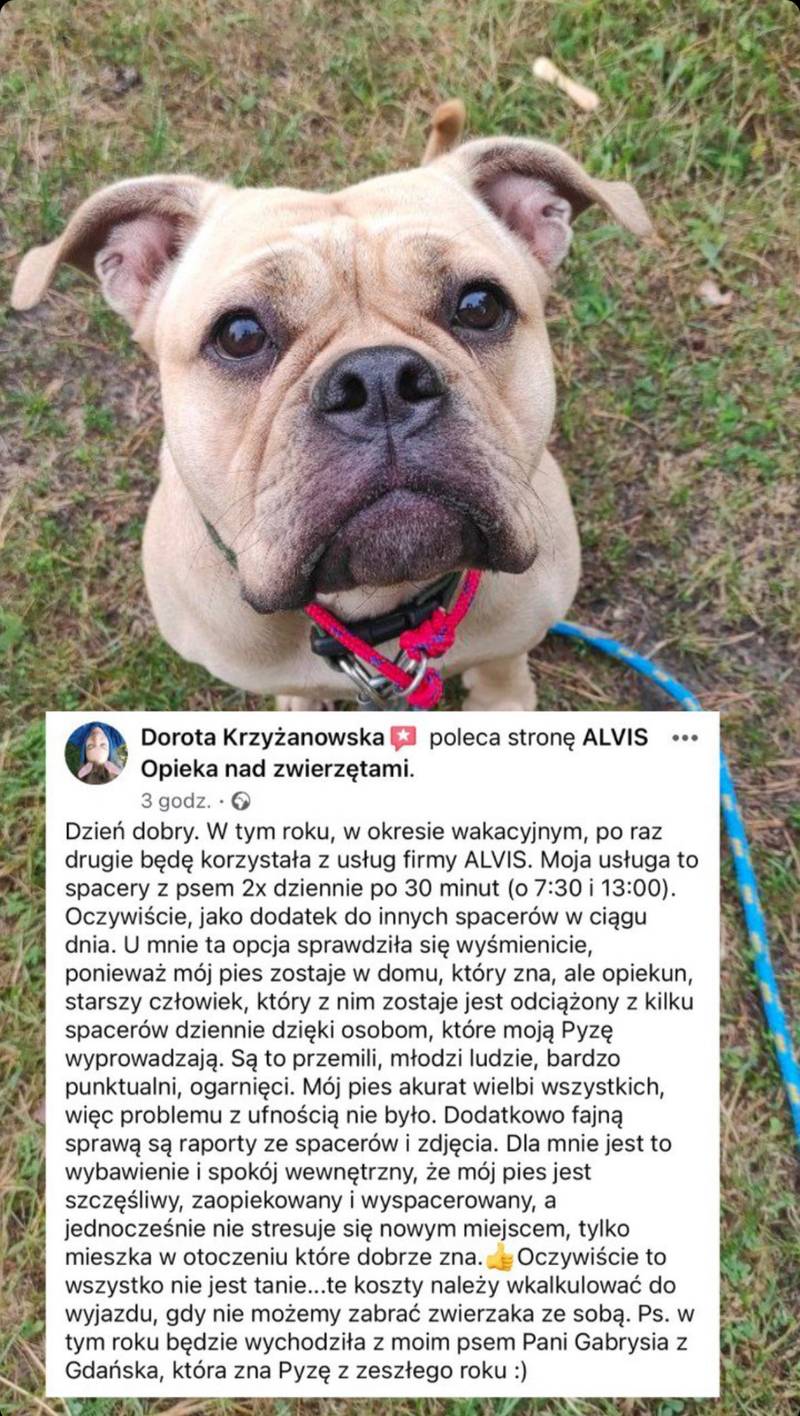 Отзыв клиента Alvis об уходе за питомцем
