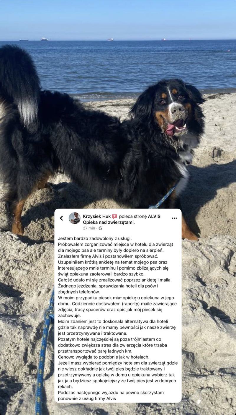 Отзыв клиента Alvis об уходе за питомцем